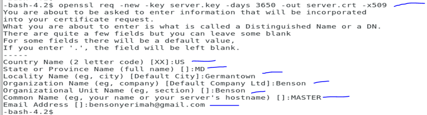 The OSM Club Discord Server, OS Mockups Wiki